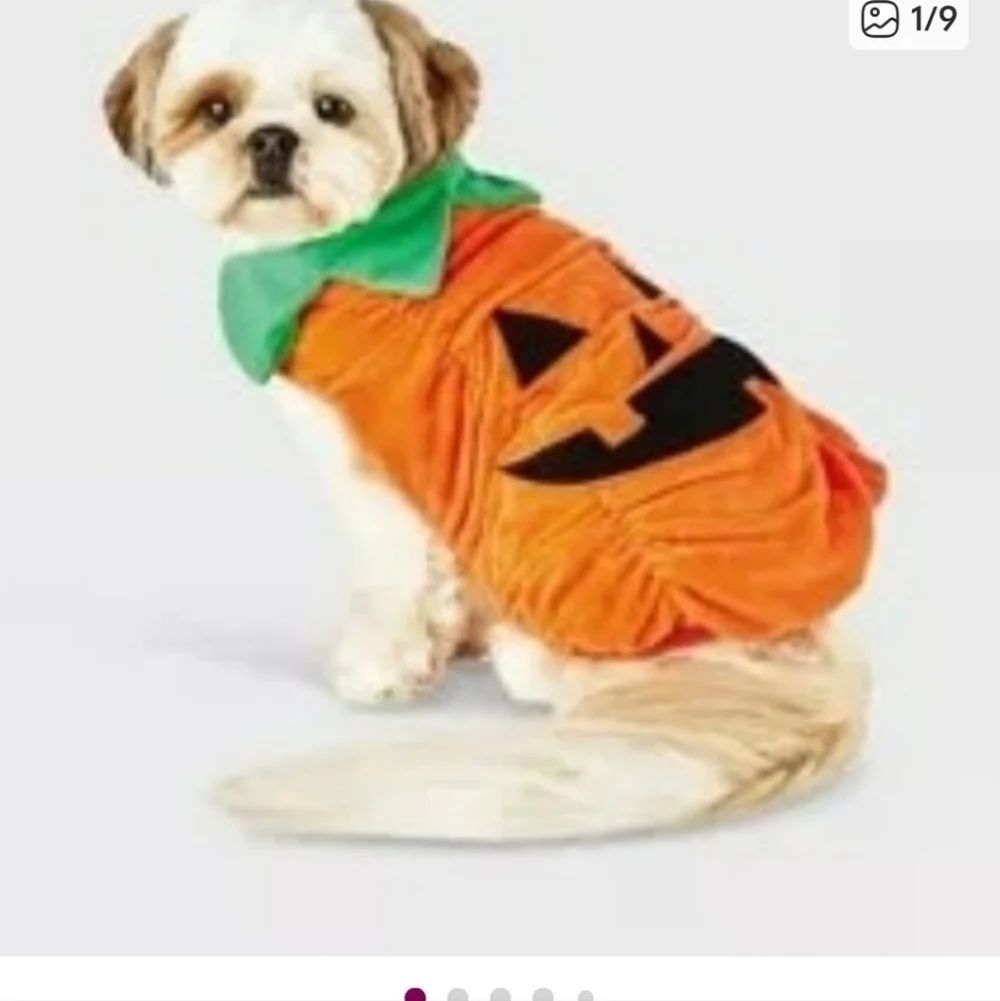 NWT Halloween Plush Pumpkin Pet Dog Costume | Hyde & EEK! Boutique Jack-O-Latern